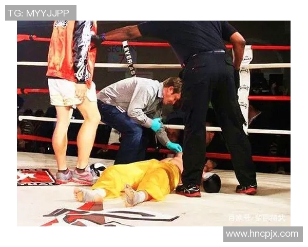 一龙与皮克索尔的巅峰对决谁将成为武林新王者